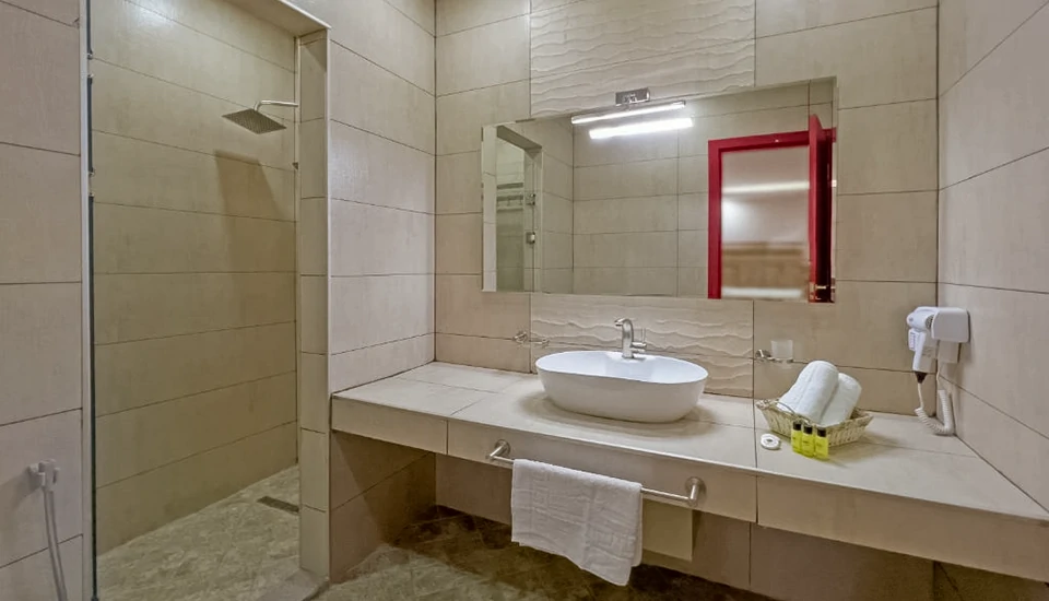 هتل دنیس تفلیس